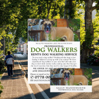 Black Mouth Cur, Dog Walker Service Advertising