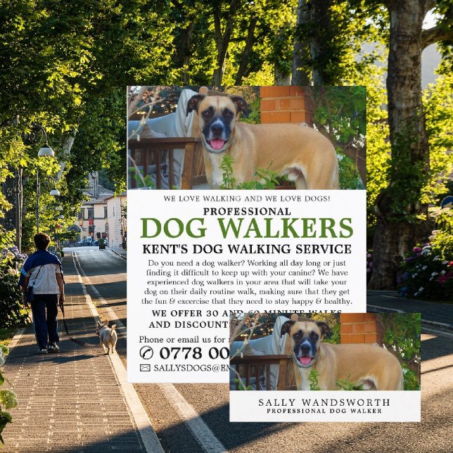 Black Mouth Cur, Dog Walker Service Advertising Flyer (Creator Uploaded)