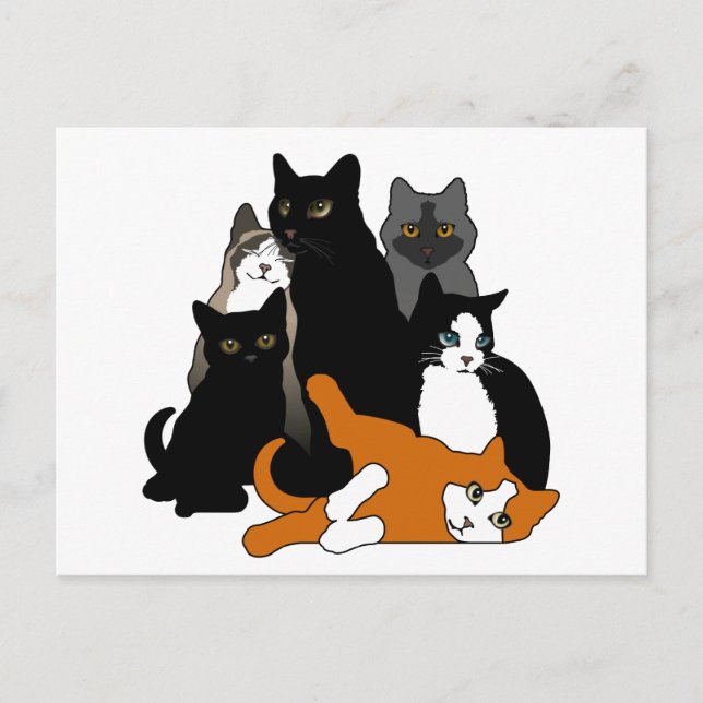 Black 'n' White 'n' Grey 'n' Orange Cats Postcard (Front)