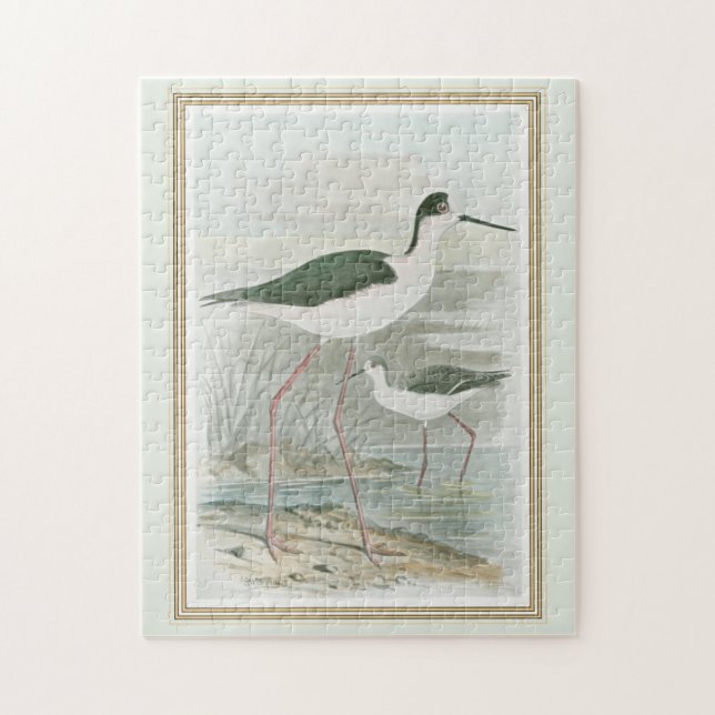 Black-Necked Stilts by the Water Jigsaw Puzzle (Vertical)