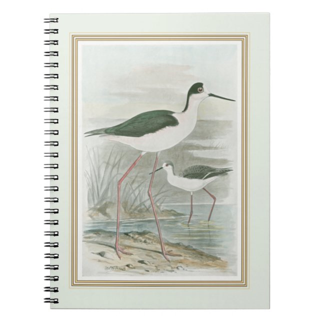 Black-Necked Stilts by the Water Spiral Notebook (Front)