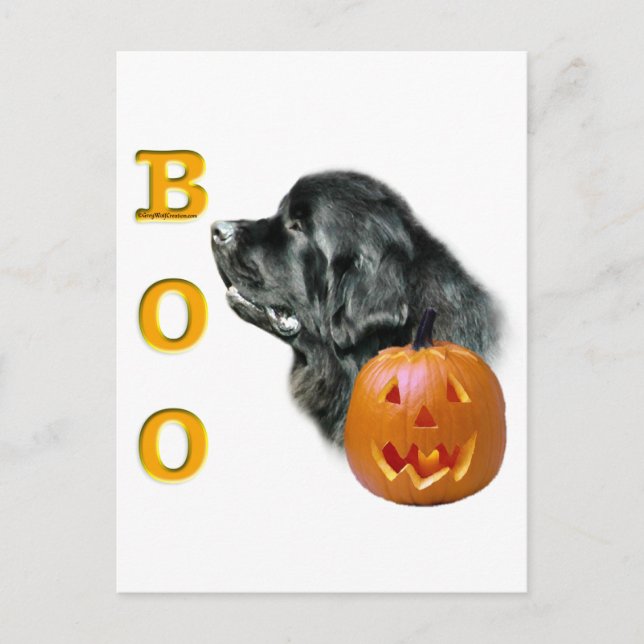 Black Newfoundland Boo Postcard (Front)