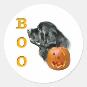 Black Newfoundland Boo - Sticker