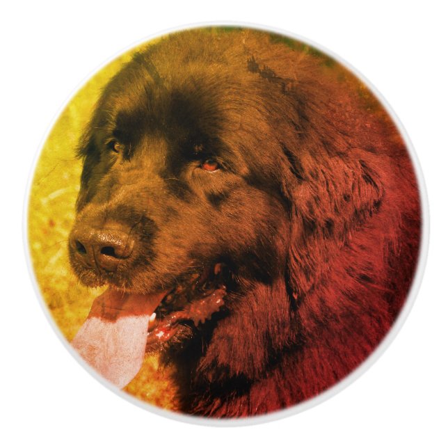 Black Newfoundland Dog Abstract Grunge  Ceramic Knob (Front)