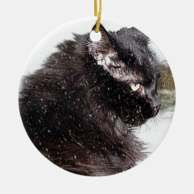 Black Norwegian Forest Cat in the Snow Ornament (Front)