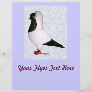Black Nun Pigeon 1973 Flyer
