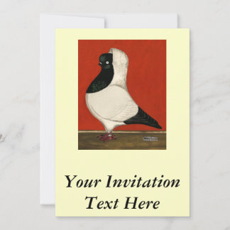 Black Nun Pigeon Invitation