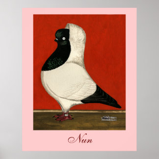 Black Nun Pigeon Poster