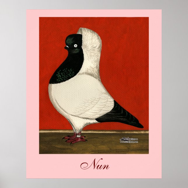 Black Nun Pigeon Poster (Front)