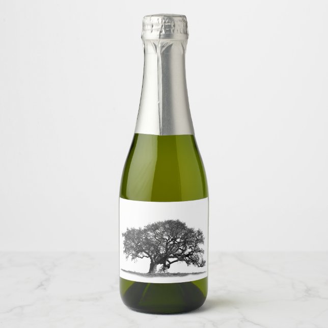 BLACK OAK TREE SPARKLING WINE LABEL (Front)