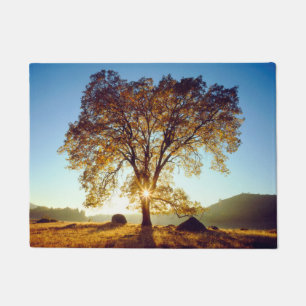Black Oak Trees Cleveland National Forest, CA Doormat