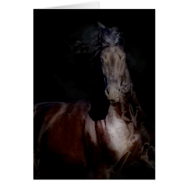 Black On Black (Front)