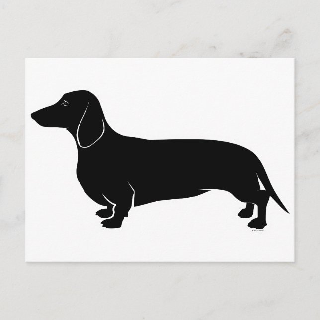 Black on White Dachsund Postcard (Front)