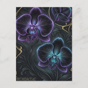 Black orchid blooms with bioluminescent purple  postcard