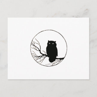 black owl postcard