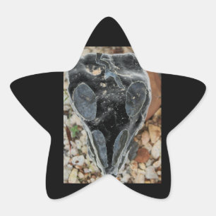 black painted skull star sticker