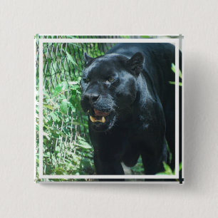 Black Panther Cat   Button