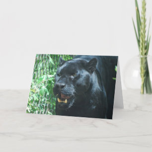 Black Panther Cat Greeting Card