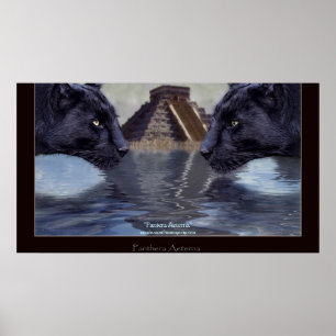 BLACK PANTHER & CHICHEN ITZA Art Poster