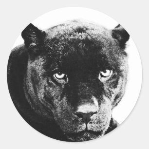 Black Panther Jaguar Classic Round Sticker