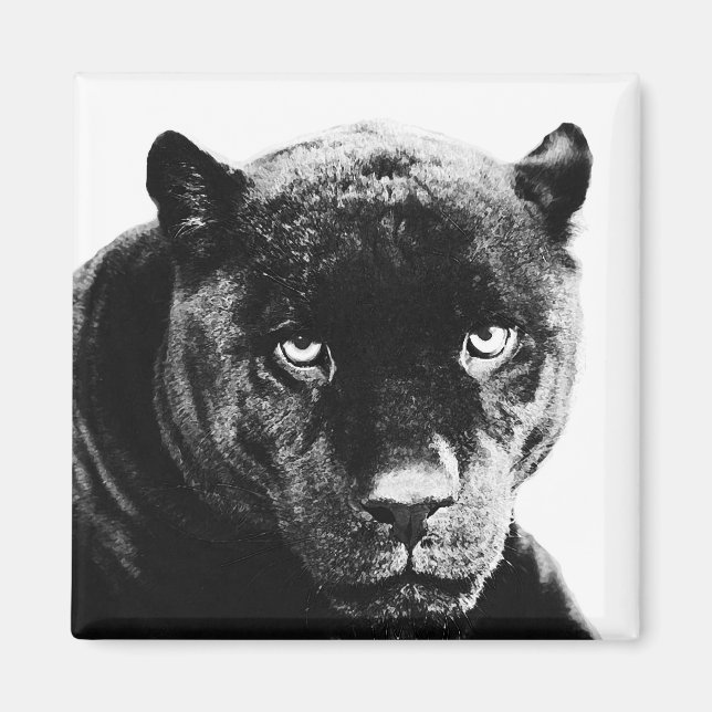 Black Panther Jaguar Magnet (Front)