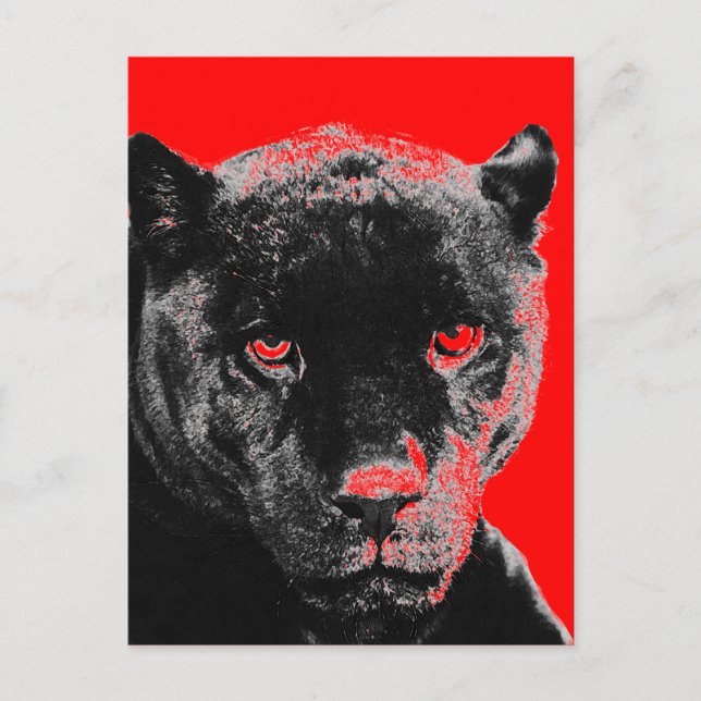 Black Panther Jaguar Postcard (Front)