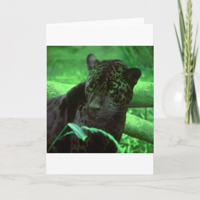 Black Panther Jaquar on Green Card (Front)