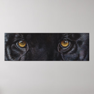 Black panther leopard eyes poster