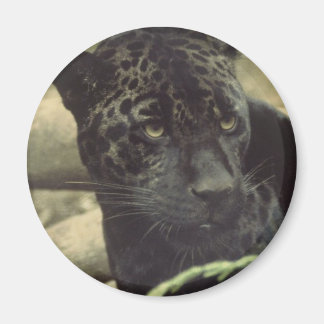 Black Panther Magnet