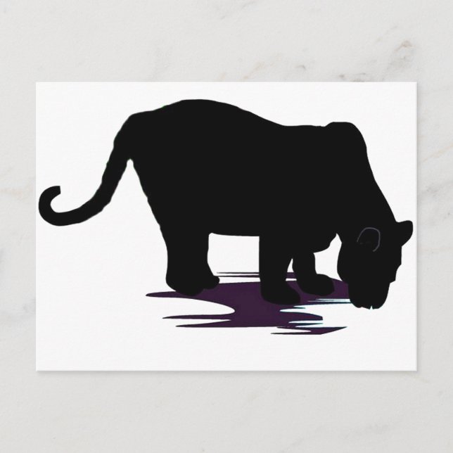 Black Panther Postcard (Front)