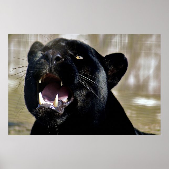 Black Panther Poster (Front)