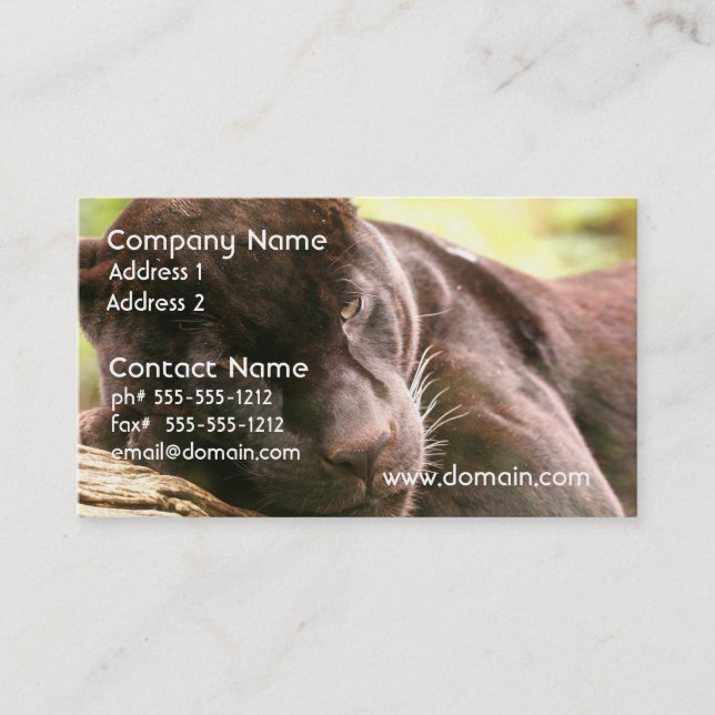 Black Panther Sleeping Business Card (Front)
