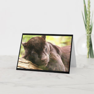 Black Panther Sleeping Greeting Card