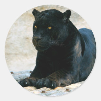 Black panther sticker