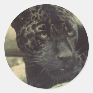 Black Panther Stickers