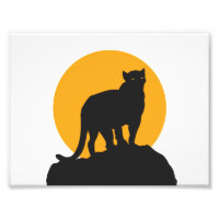 Black panther sunset silhouette