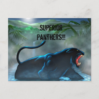 black-panther, Superior Panthers!!! Postcard