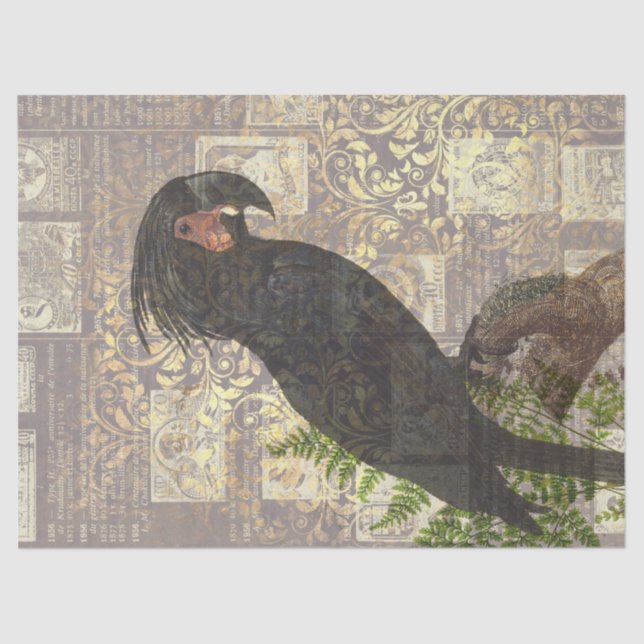 Black Parrot with Damask and Newsprint Decoupage Tissue Paper (Front)