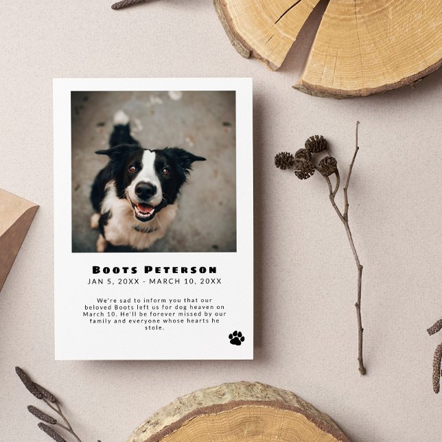 Black Pawprint Pet Loss Photo Announcement (Creator Uploaded)