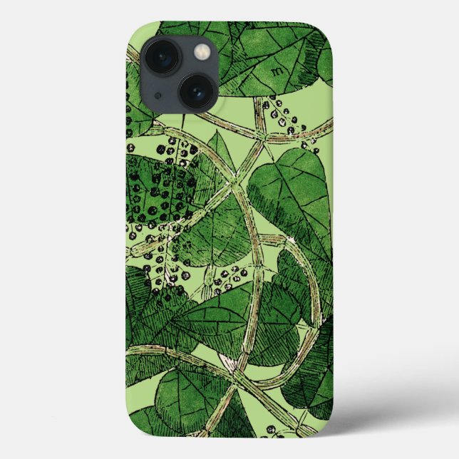 Black Pepper Plant, 1578 Case-Mate iPhone Case (Back)