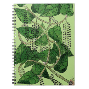 Black Pepper Plant, 1578 Spiral Notebook