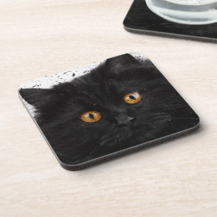 Black Persian Face Coaster