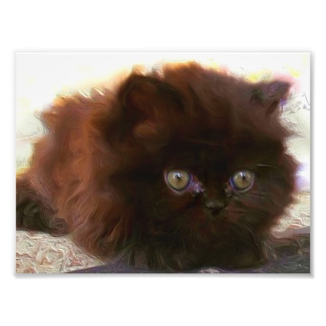 Black persian kitten photo print (Front)