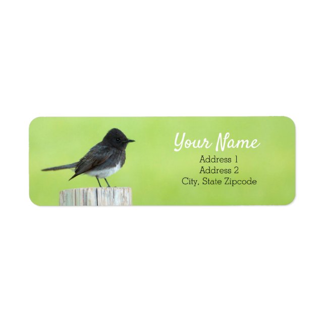 Black Phoebe Bird Address Label (Front)