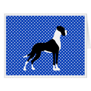 Black Piebald Great Dane