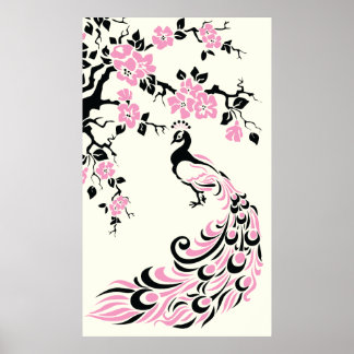 Black pink peacock and cherry blossoms poster