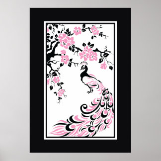 Black, pink, white peacock and cherry blossoms poster