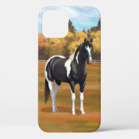 Black Pinto Paint Quarter Horse Stallion