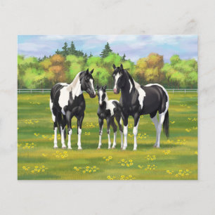 Black Pinto Paint Quarter Horses In Summer Pasture