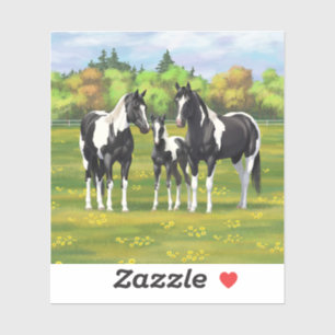 Black Pinto Paint Quarter Horses In Summer Pasture